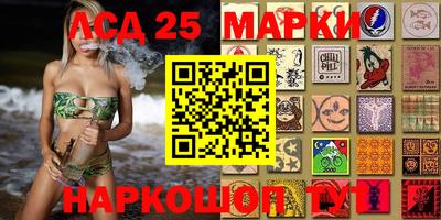 стафф Новокубанск