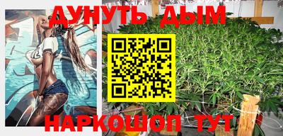 стаф Новозыбков