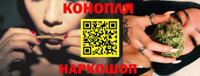 стаф Новозыбков
