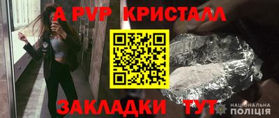 стафф Новокубанск