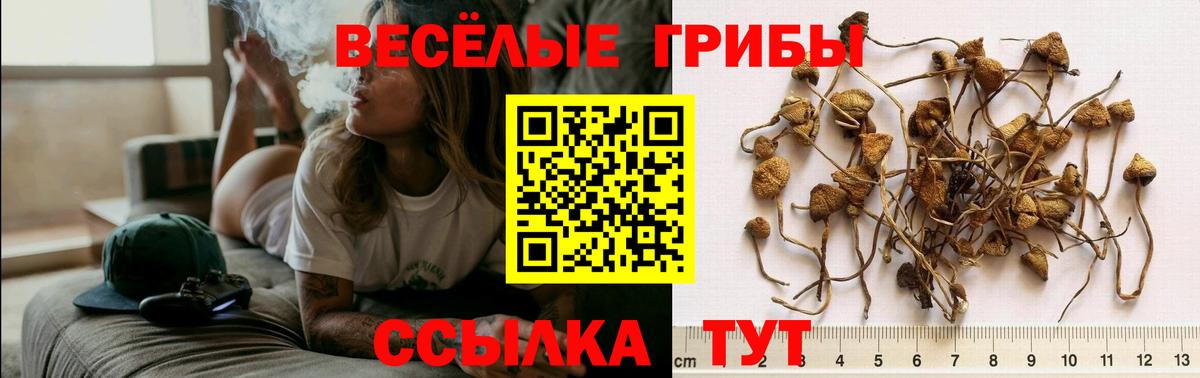 Псилоцибиновые грибы мухоморы  Вход с VPN  Дальнереченск 